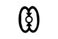 Wo Nsa Da Mu A: Adinkra Symbol of Democracy, Pluralism